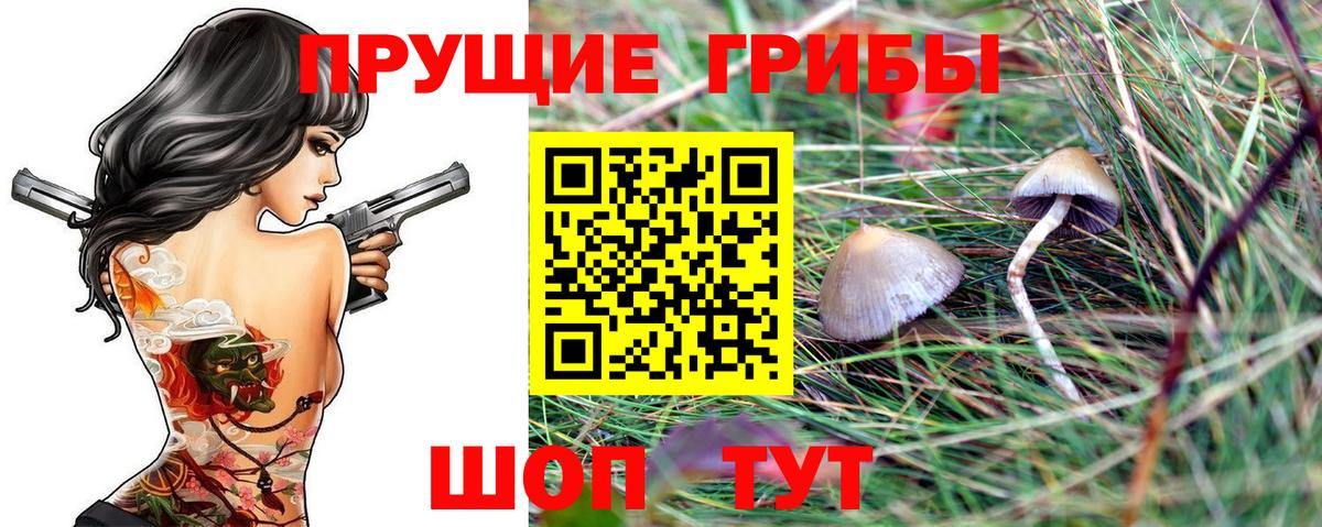 Псилоцибиновые грибы мухоморы Спасск-Дальний